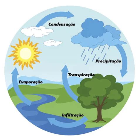 o ciclo da água é importante para agricultura explique
